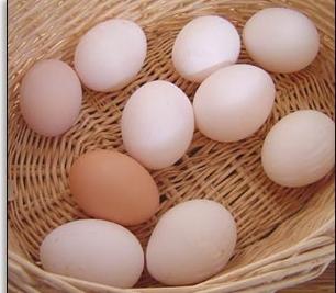 Βασικές αρχές της υγιεινής διατροφής: διατροφική αξία των αυγών