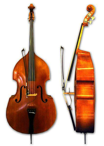 Πόσα χορδές έχει το διπλό μπάσο και ποια είναι η διαφορά του από άλλα όργανα string;