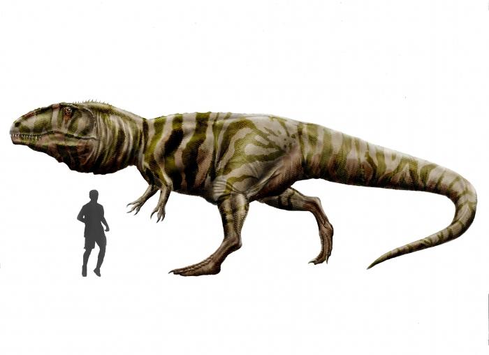 Ο μεγαλύτερος δεινόσαυρος: Bruhatkaiozavr ή ...