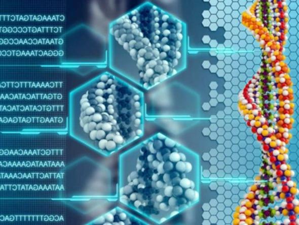 Τι είναι το DNA, ποιες είναι οι λειτουργίες και η σημασία του για τους ζώντες οργανισμούς