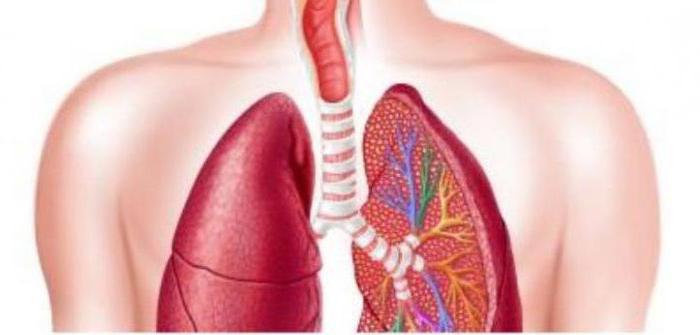 Ιδιοπαθής πνευμονική ίνωση - θεραπεία και συστάσεις